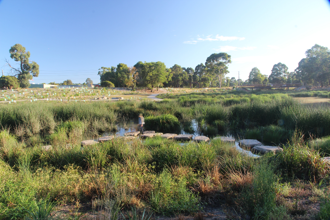 Tarralla Creek GHD (54)_edited