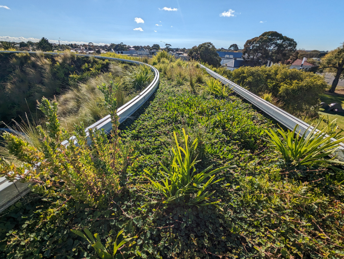 Drysdale_Roof-Garden_35_edited